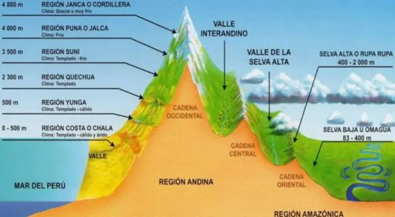 pisos altitudinales del Perú